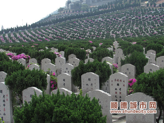 清明上山祭祖人群众多,严禁在山林,公墓(骨灰楼堂)内燃放烟花炮竹