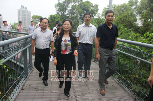 (记者万家长 日前,佛山市副市长王玲带队调研督导顺德区"创森"工作