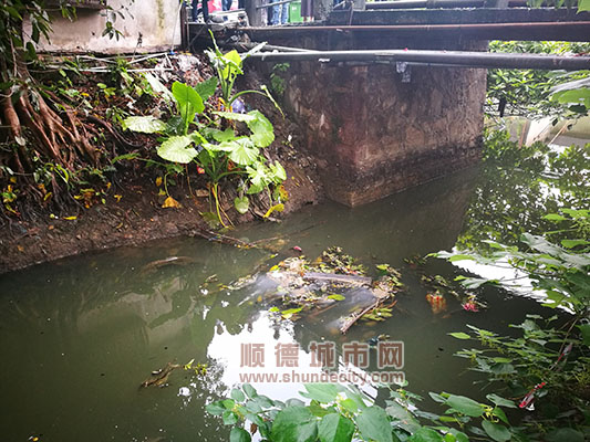 治标更要治本,严抓源头治理促环保提升