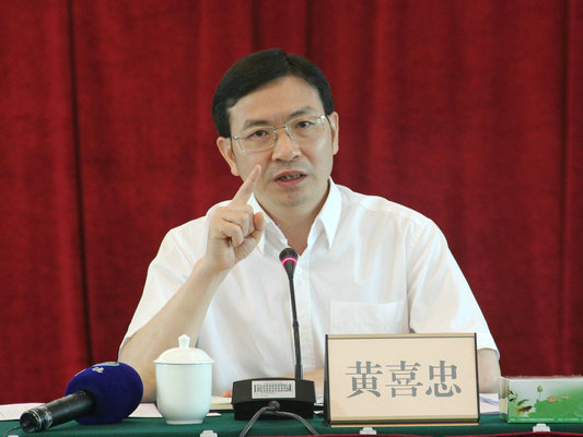 黄喜忠:三年城市升级让顺德城市升值