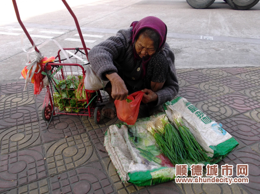 容桂八旬婆婆卖菜,自立感动顺德