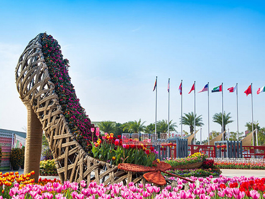 美丽的陈村花卉世界(顺德摄影俱乐部"五个轮"摄)