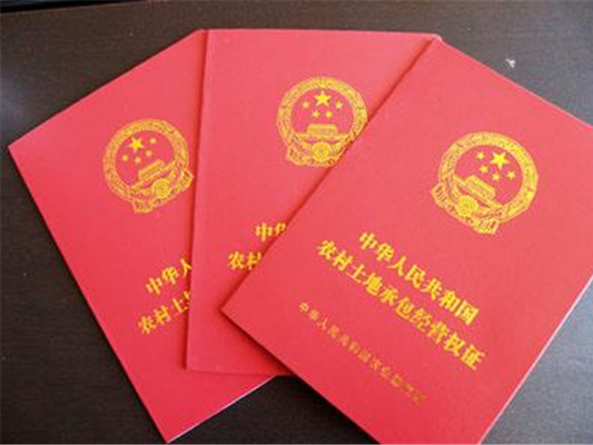 家庭人口是怎么填_家庭人口数怎么填(3)