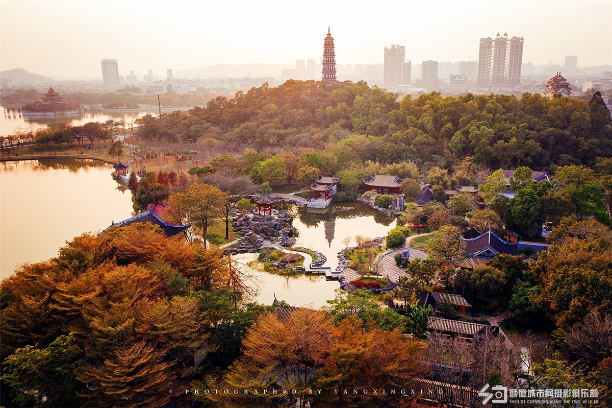 大良人口_顺德大良地图(2)