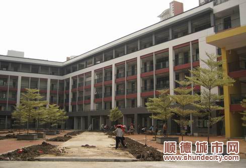 顺峰小学:万事俱备迎300多新生_时政速递_顺德城市网