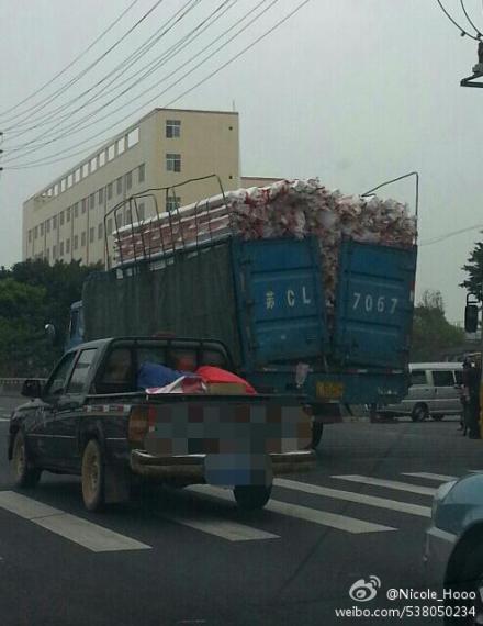这车，是吃撑了吗？