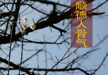 慳俭、肯捱、识做的顺德精神，还剩多少？