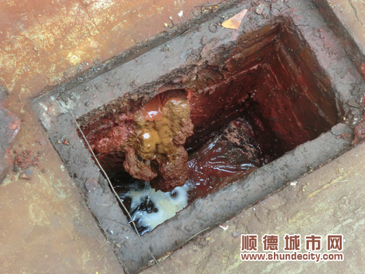 环保行动：执法人员“突袭”污染工厂