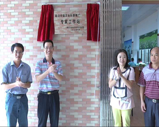 顺德首个农业工作站落户勒流南水