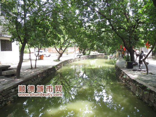 国际专家聚焦逢简，共推食物主权运动