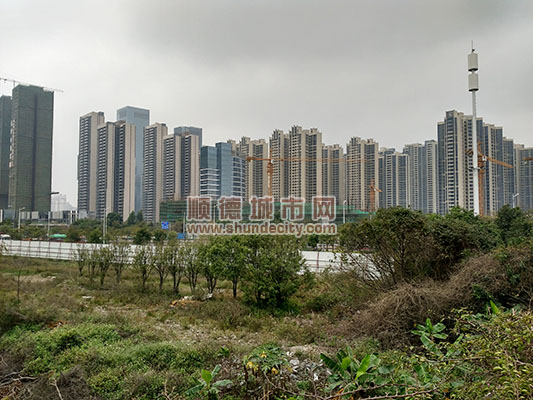 风姿绰约众星捧月，引众投资商“竞折腰”