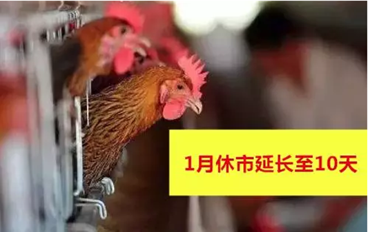 注意！顺德全区活禽市场持续休市10天
