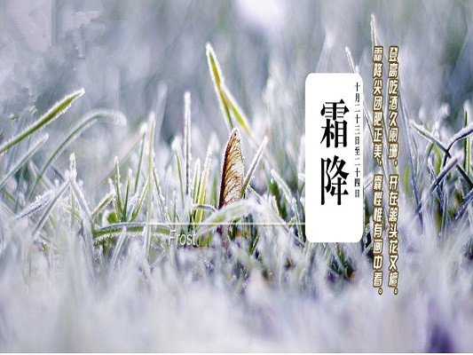 霜降，顺德的文人雅客是这样度过呢