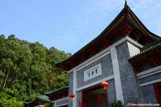 宝林寺居然藏着这么多宝藏，以前都白去了！