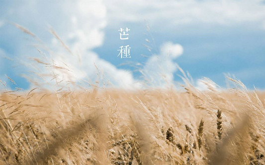 ＠勒流人，芒种到，这八样宝别再错过了
