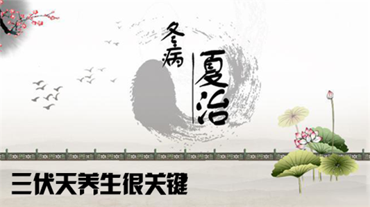 有效！三伏天灸疗法助你改善体质祛湿驱寒