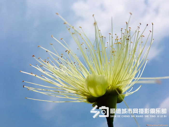 顺德倾情夜话：女友事事嫌弃我，要分吗？