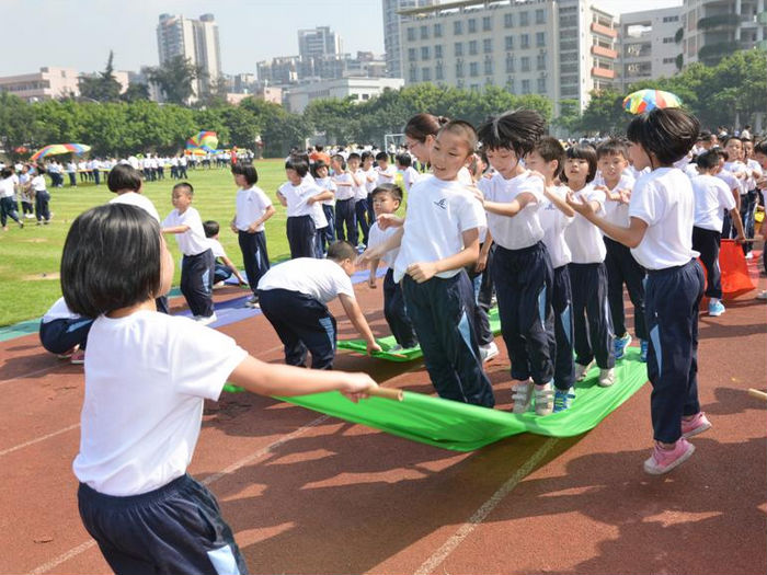 来了！三镇街今年公办小学招生方案出炉