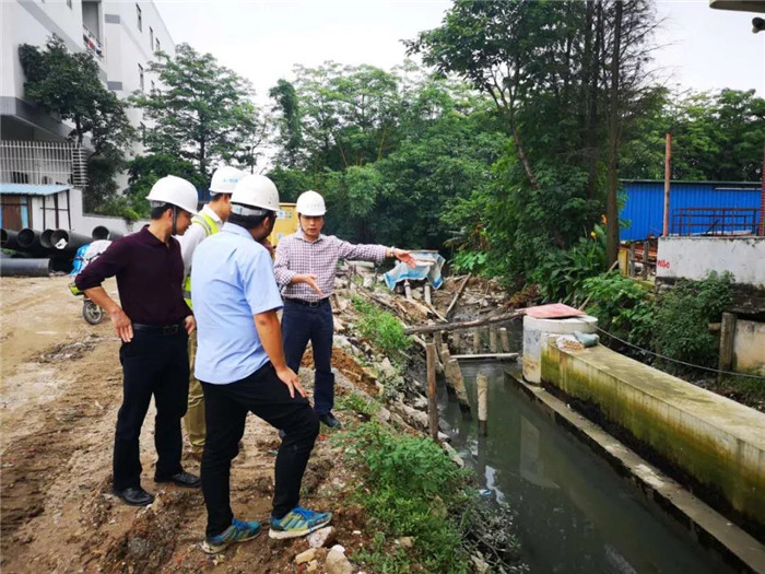 桂畔海水系综合整治项目工作如何推进？戳→