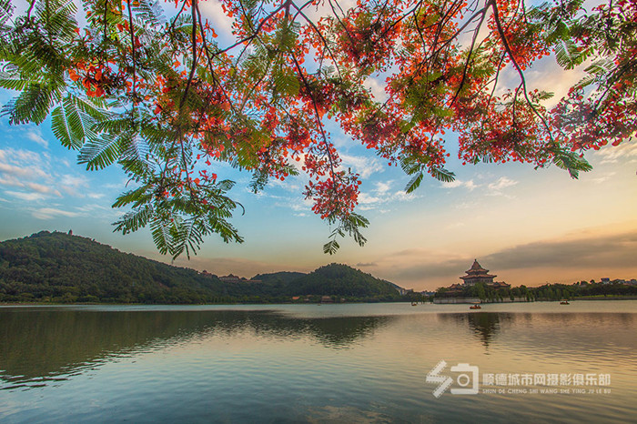 顺峰山公园