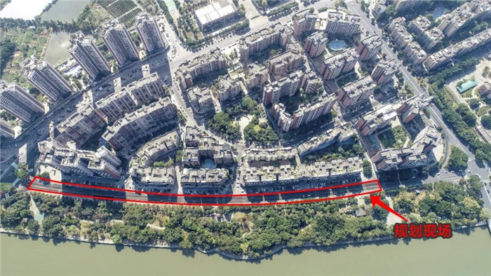 快看！2020年顺德各镇街花市最新消息！