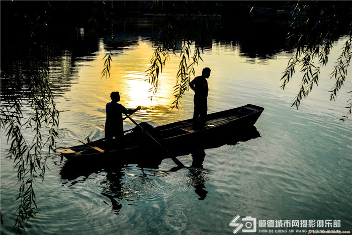 小桥流水人家，顺德也有个“蓬莱仙境”
