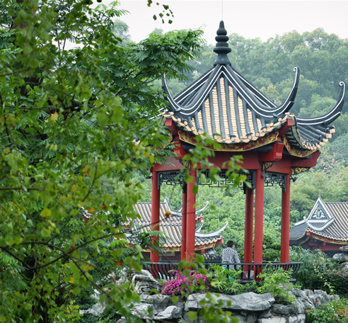 雨后朦胧的顺峰山公园，有了几分江南韵味