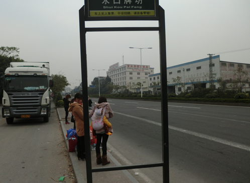 为什么受伤的总是公交站牌？还请手下留情