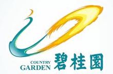 碧桂园：房地产企业佼佼者