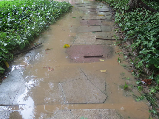 大良：云路公园损坏多处，街坊盼修复
