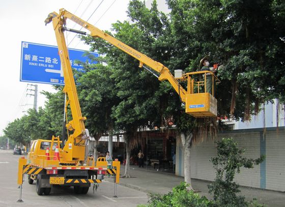大树遮挡路牌，伦教交警大修剪