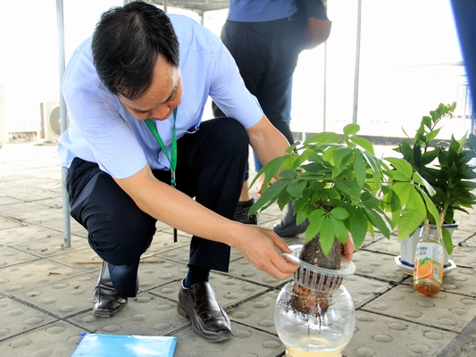 十月仍是登革热高发季，北滘确诊10例