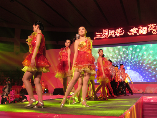 活在花乡，陈村妇女能歌善舞人比花娇