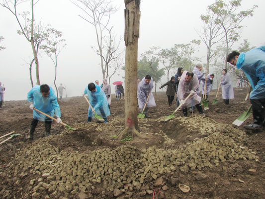 植树节全民动起来，为顺德挥锄添新绿