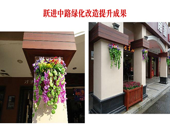旧貌换新颜，北滘重新焕发出迷人的风采
