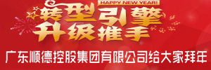 顺控集团：做顺德转型升级的引擎推手