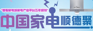 慧聪家电城家电产业平台五年规划专题报道