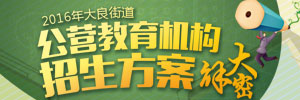 2016年大良街道公营教育机构招生方案大解密