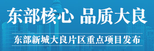 东部新城大良片区重点项目发布