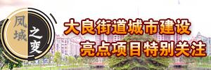 凤城之变，大良街道城市建设亮点项目特别关注