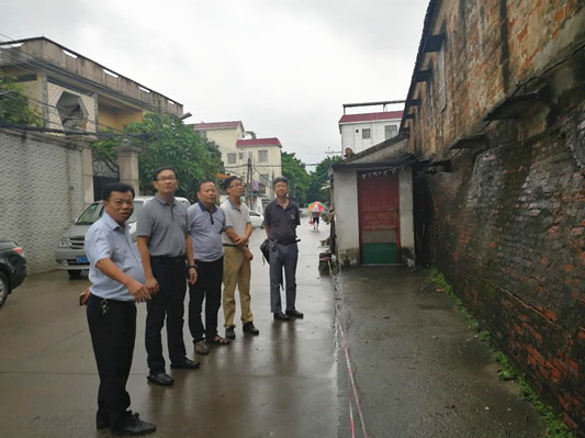 台风过后，大良检查暴雨所致的地质灾害