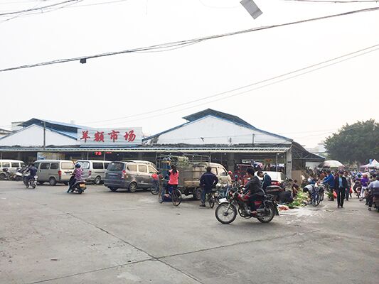 伦教街道2018年民生实事候选项目（7）