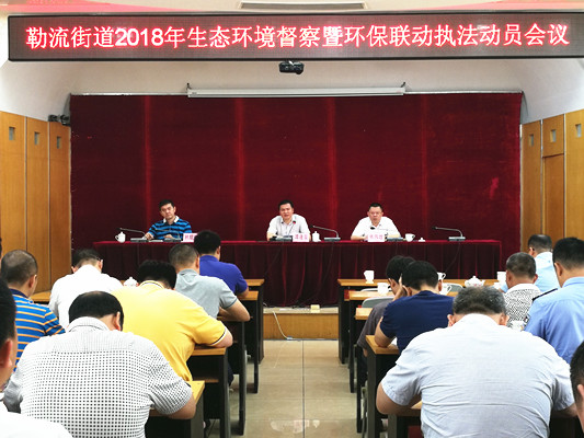 环保执法“动”起来！着力建设美丽勒流