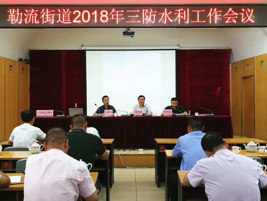安全度汛提升水环境，勒流准备这么干！