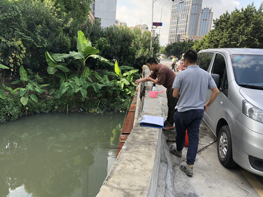 开展水质监测，铺排黑臭水体整治工作