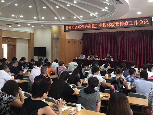 勒流：政府＋企业，实事求是做好环保