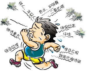 顺德存在13个蚊子重灾区，乐从就占了3个
