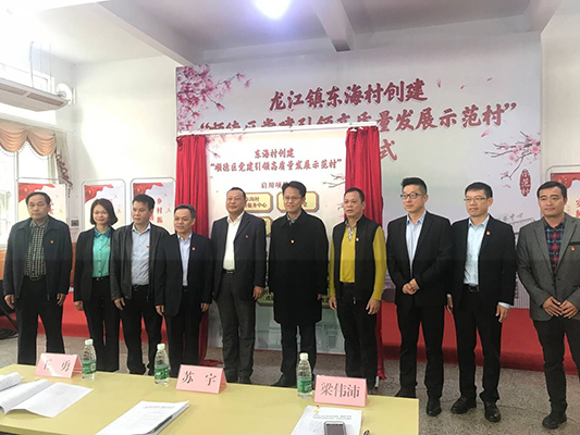 正式启动！东海村创建党建引领高质量发展示范村