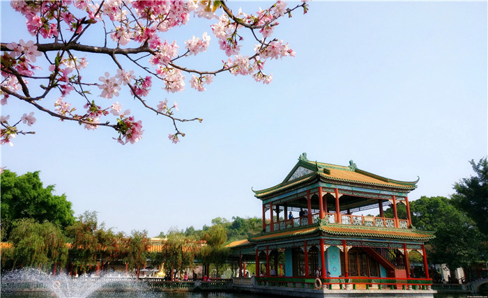当古建筑遇上樱花，简直不要太美！