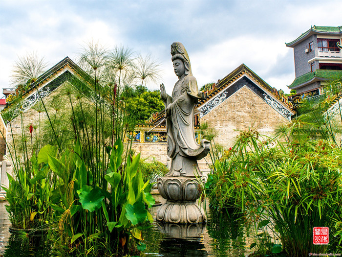 到北滘“桃花源”走一趟